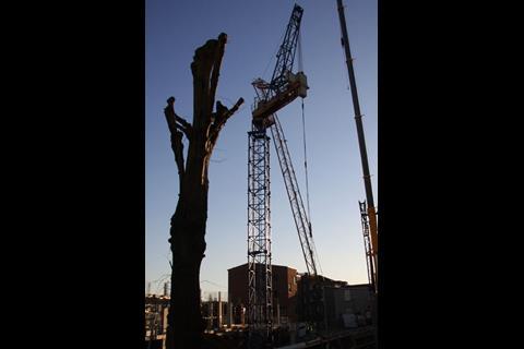 Forest Hill crane collapse
